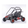 Elektro buggy Sunway DUNE 1000W 60V 20Ah - Černo-červený