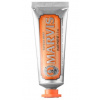 Marvis Zubní pasta zázvorovo mátová (Ginger Mint Toothpaste) 25 ml