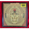 2LP Amorphis: Queen Of Time CLR