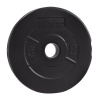 PLATINUM FITNESS Nakladací cementový kotúč 1,25 kg / 29mm PF-P0009