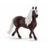 Schleich 13897 domáce zvieratko kôň Schwarzwaldský žrebec