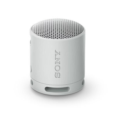 Sony SRS-XB100/Mono/Sivá