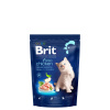 Brit Premium by Nature Cat Kitten - Chicken 800g
