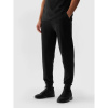 Pants 4F M 4FWSS24TTROM603 20S (191163) Black S