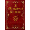 A Dangerous Wisdom: Gay Love Magic (Stewart A,Stewart A)(Brožovaná)