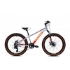 Capriolo Mtb Lc 24