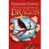 How to Train Your Dragon - Cressida Cowell