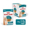 Royal Canin AGEING 15+ Chunks in gravy 12x85g