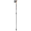 Leki Instructor Lite dark anthracite-silvergray-bright red 100 – 125 cm 4028173293612