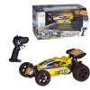 R/C Terénne auto buggy 1:18 POWER 2,4GHz