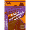 Labyrint nedokončených s… (František Tichý)