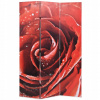 Skladanie reproduktora Red Rose Motív 120 x 170 cm (Skladacia obrazovka, 120x170 cm, červená ruža)