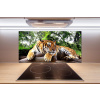 Panel do kuchyne Tiger na skale 100x50 cm