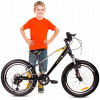 Detský bicykel Sun Baby VerdantJuniper20 čierno-zlatý, kolesá 20