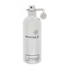 Montale Paris Mango Manga, Parfumovaná voda 100ml - Tester unisex