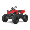 Linhai ATV 110 2X4 EFI CE