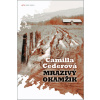 Mrazivý okamžik - Nord krimi - Camilla Cederová