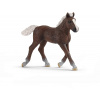 Schleich 13899 domáce zvieratko kôň Schwarzwaldské žriebä