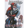 Spider-man: Return Of The Black Cat
