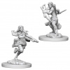 D&D Nolzur's Marvelous Miniatures - Air Genasi Female Rogue