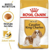 Royal Canin Cavalier King Charles Adult 1,5 kg