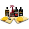 Meguiar's Paint Restoration Kit