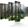 Obrázok - Fairytale Forest 225x112.5 (Obrázok - Fairytale Forest - 225x112.5)