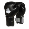 Boxerské rukavice DBX BUSHIDO DBX-B-2v9 12 oz