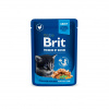 Brit Premium Cat Chicken Chunks for Kitten kapsičky 24 x 100 g