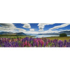 Puzzle HEYE Panoramatické puzzle Jezero Tekapo, Nový Zéland 1000 dílků (29902)
