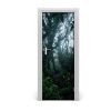 Fototapeta na dvere samolepiace dažďový les 75x205