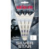 8775-STEELTIP SILVERSTAR Gary Anderson T80% 21 gram zľava 20% (zľava 25%)