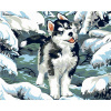 Zuty Diamantové maľovanie MALÝ HUSKY 40x50 cm vypnuté plátno na rám