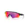Oakley Radar EV Path