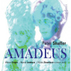 Audiokniha: Peter Shaffer • Amadeus / Čtou Marek Lambora, Martin Finger a další (MP3-CD)