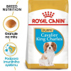 Royal Canin Cavalier King Charles Puppy 1,5 kg