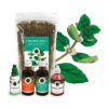 Inca Botanica ANGÍNA