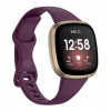 Silikónový pásik / FitBit Sense / Versa 3 / Veľkosť L