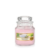 Yankee Candle Sunny Daydream vonná sviečka 104 g