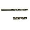 TRIUMF Vrták TK 6,0 mm do kovu