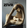 Ladislav Zívr - Jaromír Typlt