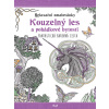Relaxační omalovánky: Kouzelný les a pohádkové bytosti
