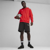 Puma Team Goal Casuals Hooded M 658595 01 M