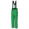 Pánske nepremokavé lyžiarske nohavice Hannah Ammar classic green XL