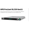 HPE PL DL320g11 4510 (2.4/12C) 2x32G (p64706) 2x480G (P40497) MR408i-o 8SFF 2x1000W 2x1Gb Smart Choice P80510-425