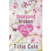 A Thousand Broken Pieces