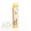 Arnica Montana gra.1 x 4 g 15CH