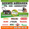 Motor do kosačky - Baku Bacon Quantum Mower Mower Briggs 692311 (Baku Bacon Quantum Mower Mower Briggs 692311)