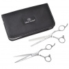 OLIVIA GARDEN SilkCut PRE SHEAR KIT Silver 5,75' + 6'35T Left - sada nožníc pre ľavákov