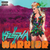 Kesha - Warrior / Expanded Edition / Vinyl / 2LP [2 LP]